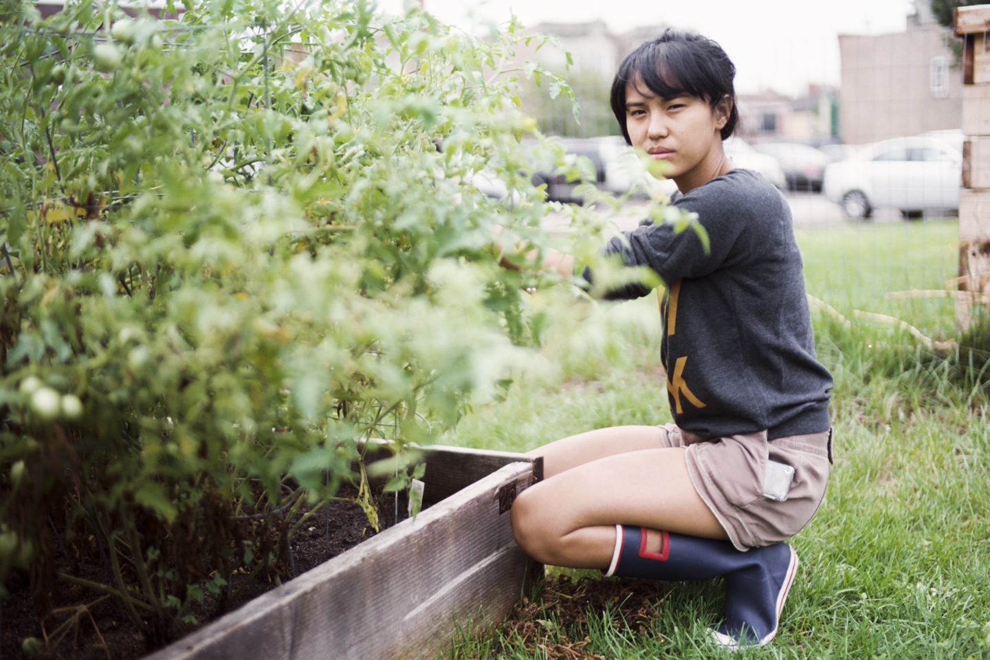 tri-taylor_community_garden-1004