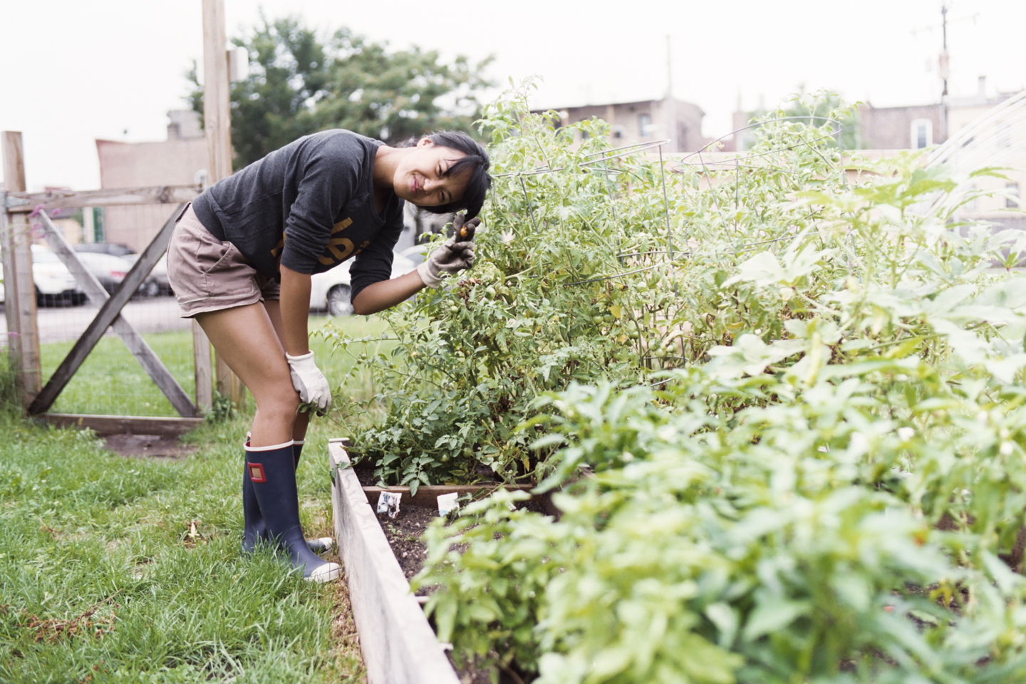 community garden